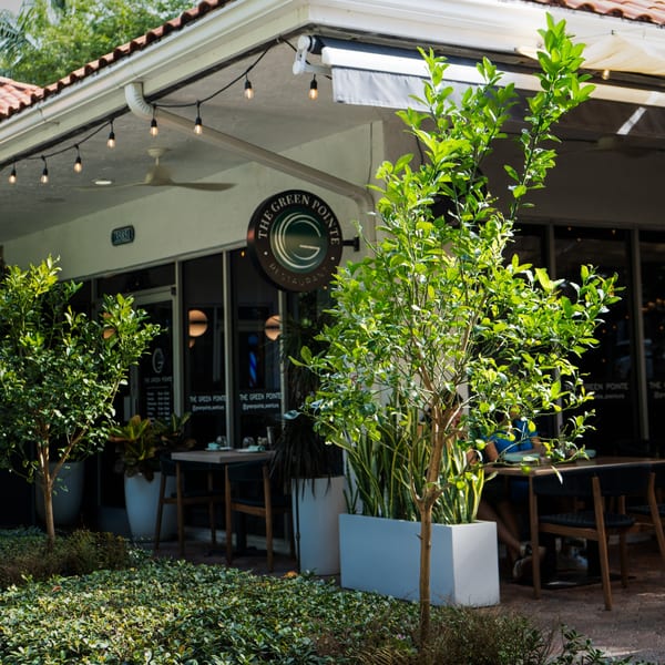 The Green Pointe restaurant exterior with outdoor seating, lush greenery, and string lights under a tiled roof.